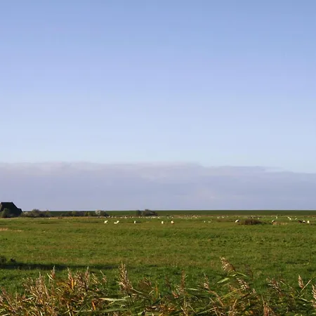 公寓 Apartment, 加尔丁