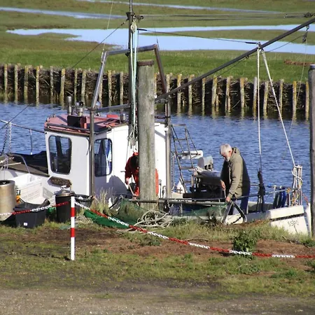 Apartament Apartment, *